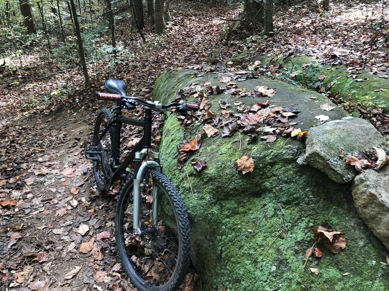 A rock along the Creekside trail.