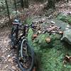 A rock along the Creekside trail.