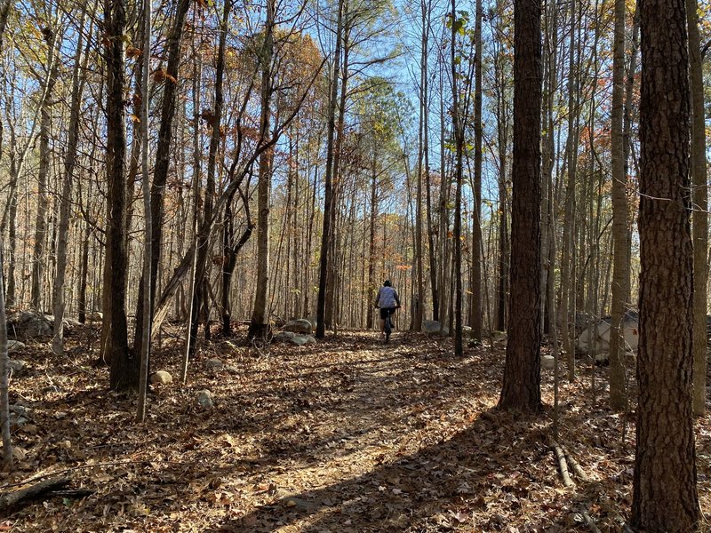 Little river. Pretty scenery and technically easy. Slow at times which can be boring unless you are looking for a quite-secluded trail to relax