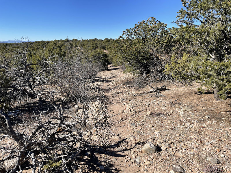 Heading west on Calabasas Trail