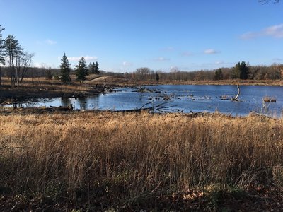 Lakewood Forest Preserve