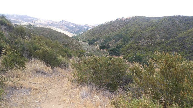 Gifford Road as you turn off the trail and start heading up the canyon