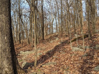 Goat Trail