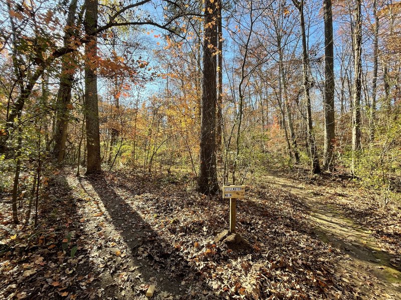 Stay left at the bottom of the main entrance drop to ride the new Stillwater loop