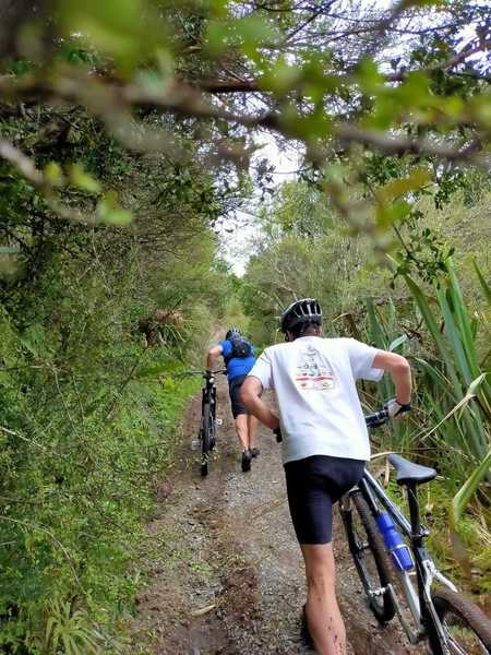 27 November 2020 too much mud and ruts to bike, steep uphill