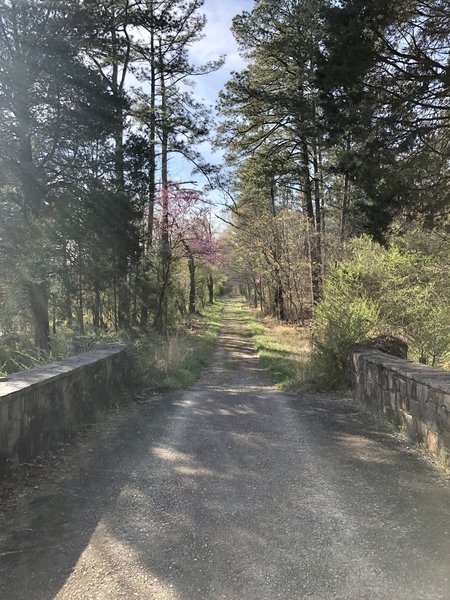 Victory Lake Bridge | Looking Towards Trail