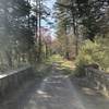 Victory Lake Bridge | Looking Towards Trail