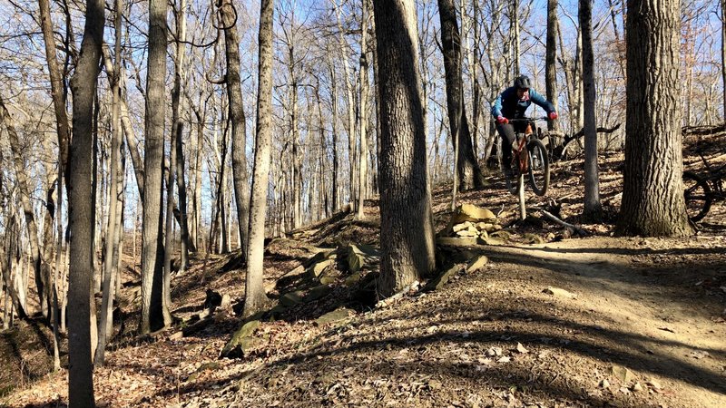 Through the trees at the top. One of the best flow trails on the east coast.