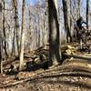 Through the trees at the top. One of the best flow trails on the east coast.