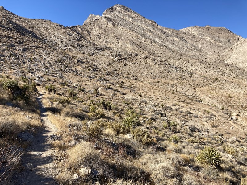 Northbound on bandanna Trail