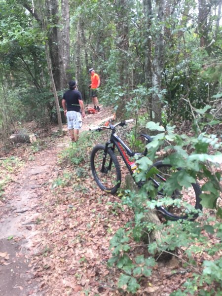 Two men working one bike leaning! Clearing the fallen timber!