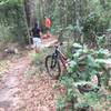 Two men working one bike leaning! Clearing the fallen timber!