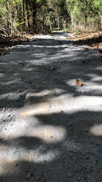 Some of the rock trail behind the Boy Scout area.