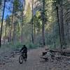 Valley Loop Trail near Cathedral Spires