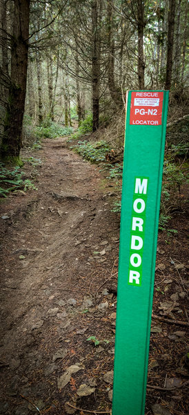 Looking back up the trail from the end.