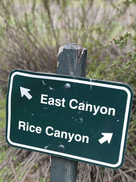 Rice Canyon Trail start