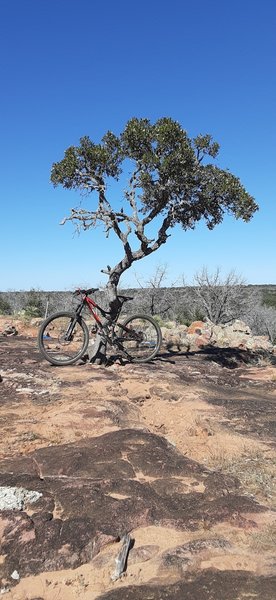 11/15/20 Along Reveille Peak Loop and the drop line "Full Commando"