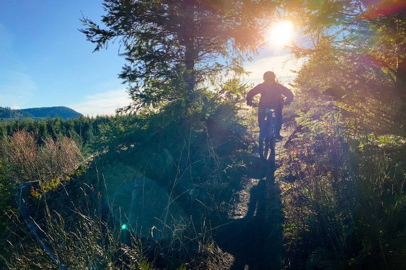 Ashley heads into the start of Space Wolf on a sunny afternoon at Galbraith.