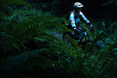 Riding through the ferns on a winter morning on Wonderland.