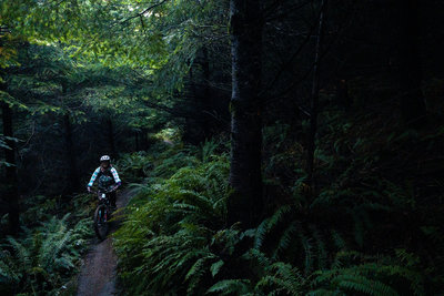 Wonderland get's a lot of shade during the winter.