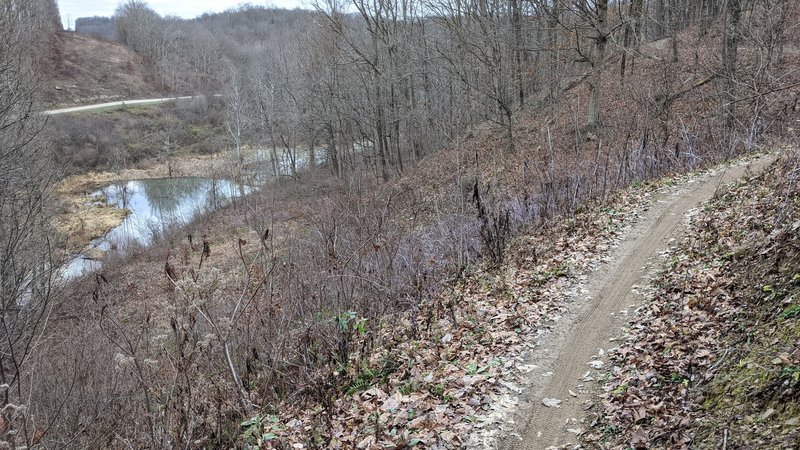 view of beaver ponds and the old powerline right-of-way from Lost Marbles Trail