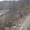 view of beaver ponds and the old powerline right-of-way from Lost Marbles Trail