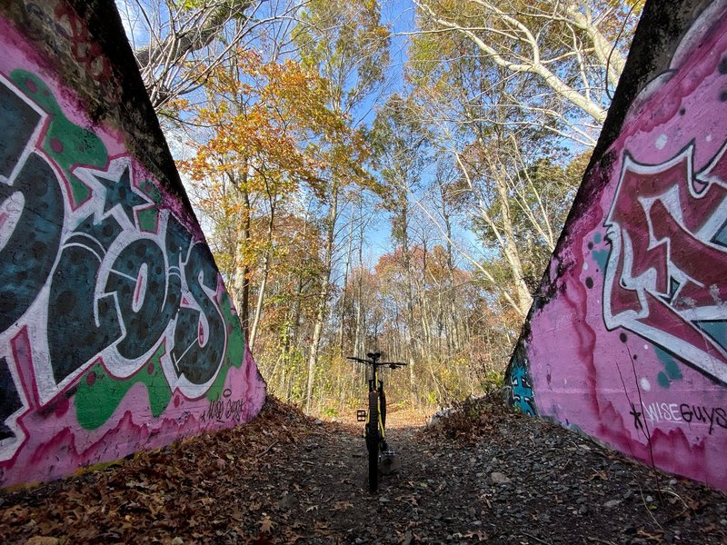 Under the Tracks - Cutler Park