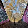 Under the Tracks - Cutler Park