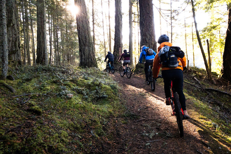 The group heading back to the bottom along Mountain Lake Trail East.