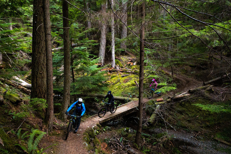 Passing over a bridge on the Cold Springs Trail.