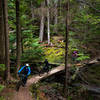 Passing over a bridge on the Cold Springs Trail.