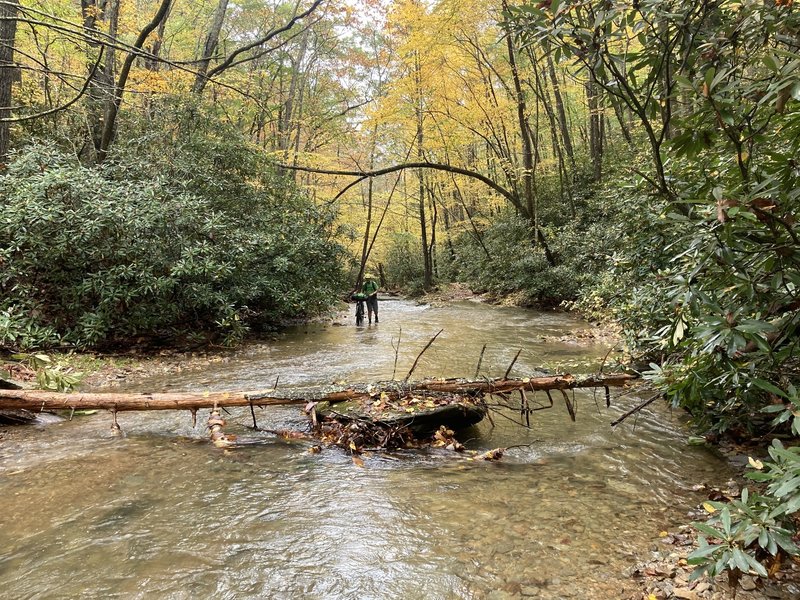 One of several creek crossings at the start of the VHHT.