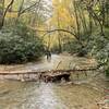 One of several creek crossings at the start of the VHHT.