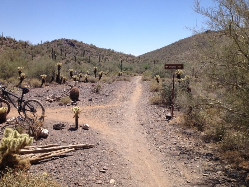Junction of Quartz Trail and Slate Trail