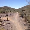 Junction of Quartz Trail and Slate Trail