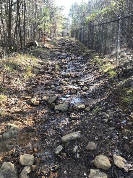 Some spots are more horse trail than bike trail.