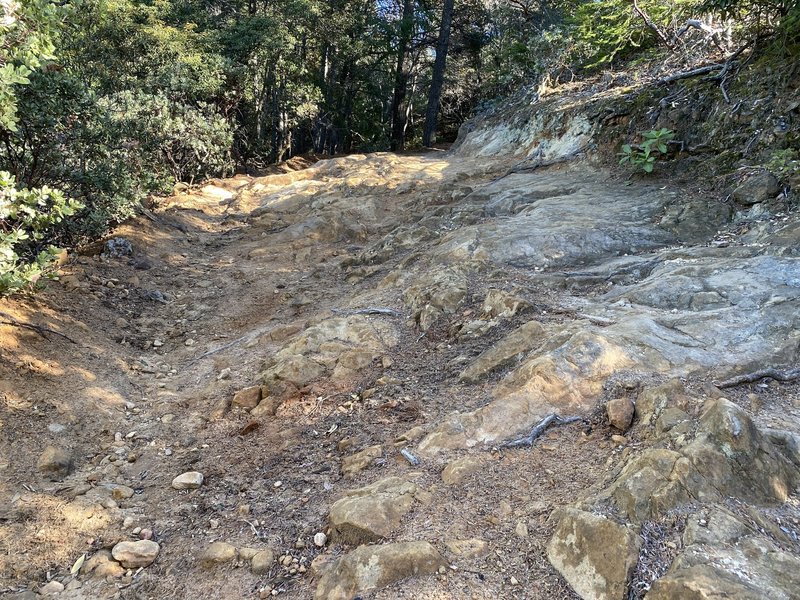 The rich rocky goodness of Manzanita