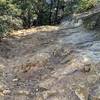 The rich rocky goodness of Manzanita