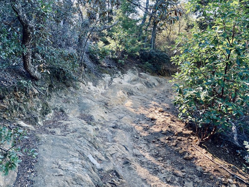 The famous sandstone roller coaster of Manzanita Trail