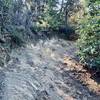 The famous sandstone roller coaster of Manzanita Trail