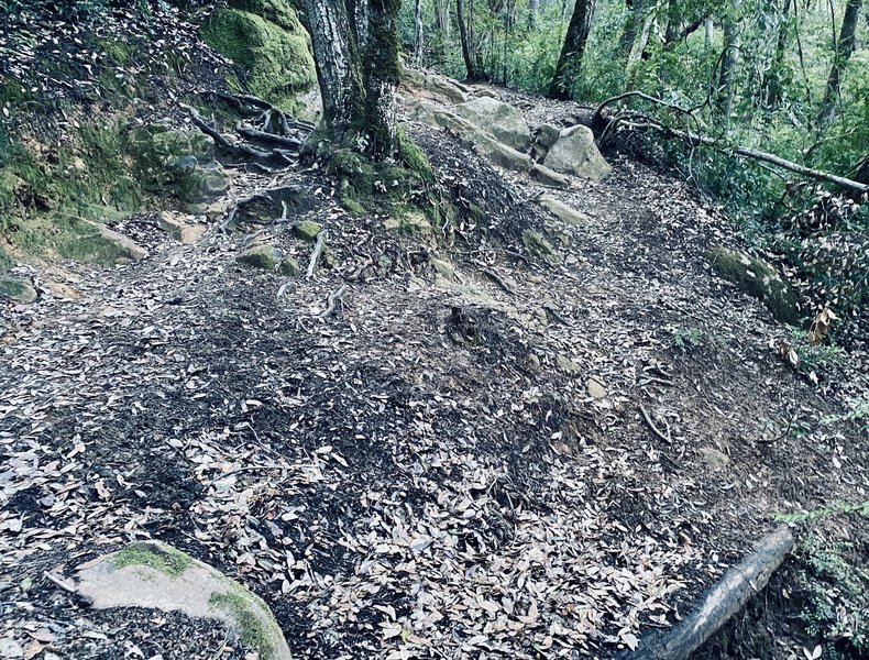 Looking up at the steep drop on South Leaf. Note the drop-off on the right.