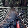 The very bottom of the preserve - the bridge on Virginia Mill. Beautiful and fairly high above the creek..