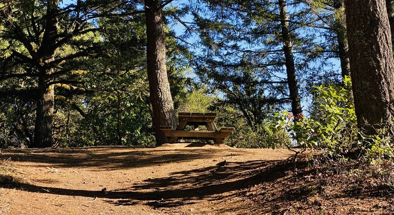 The pinnacle picnic table.