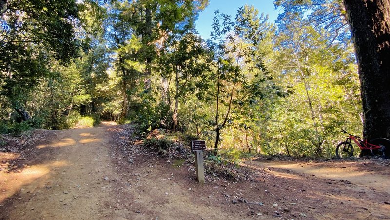 Heading up Timberview (left) from Crosscut (right).