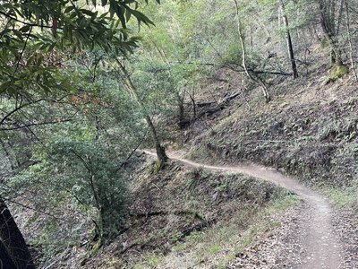 China camp mountain biking sale