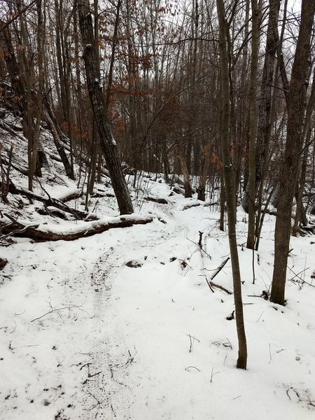 Twisty singletrack along the base of the hill