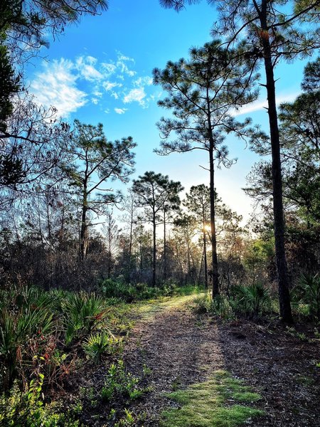 Lake Claire Loop trail just after sunrise.