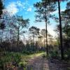 Lake Claire Loop trail just after sunrise.