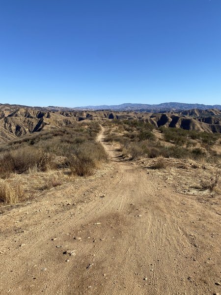 Beginning of Kona Trail near the towers