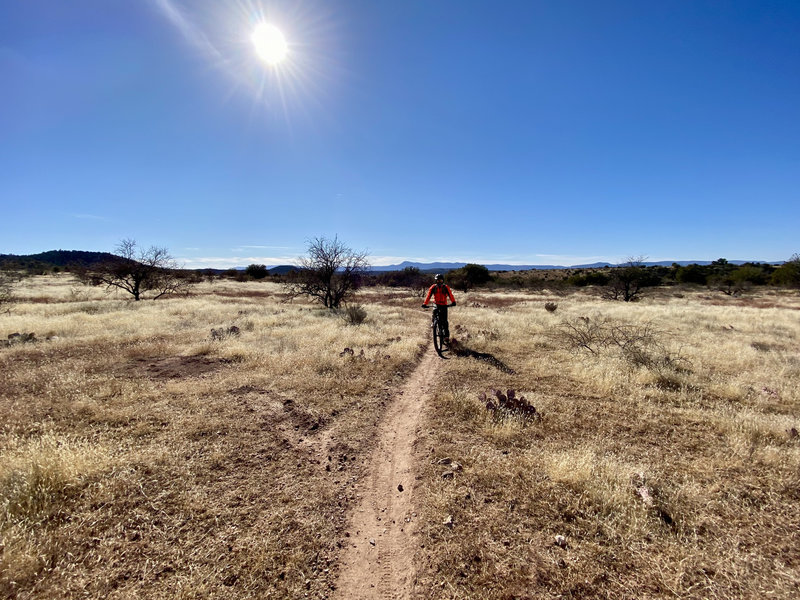 Mountain biker on singletrack of Sunset Loop Trail.